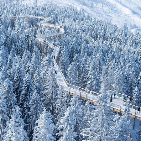 Cozy Mountain Attic Apartment In High Tatras Vel'ka Lomnica Buitenkant foto